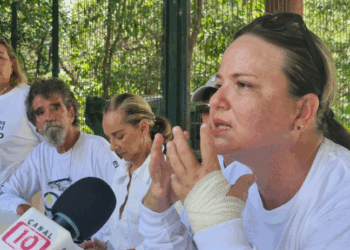 Exigen reubicación de Catedral; Denuncian devastación del Ombligo Verde por Diócesis