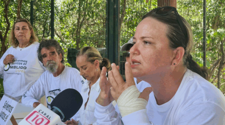Exigen reubicación de Catedral; Denuncian devastación del Ombligo Verde por Diócesis