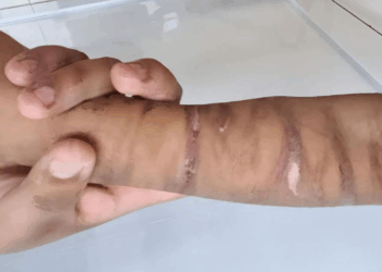 DIF pide que caiga todo el peso de la ley a torturadores de Puerto Aventuras