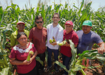 Escucha Gino Segura a productores agrícolas de La Candelaria