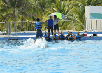 Ambientalistas celebran aprobación de ley que prohíbe delfinarios de estanques