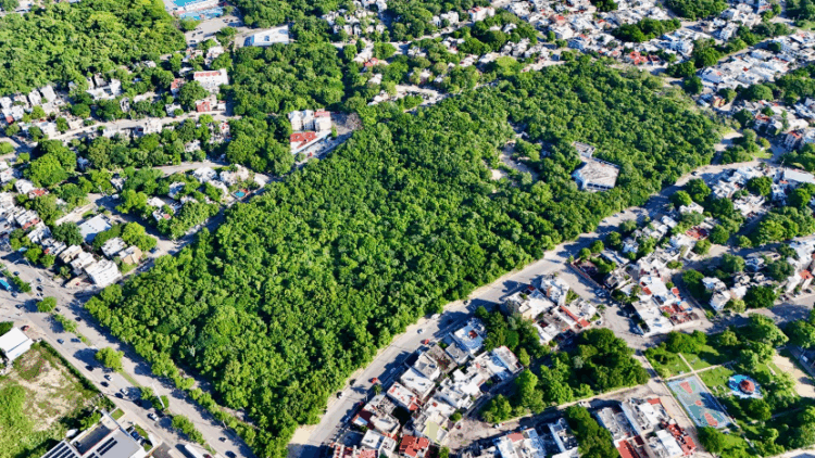 Otra vez en riesgo el Ombligo Verde