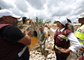 Mara Lezama supervisa paso provisional en el tramo Altos de Sevilla-Huatusco