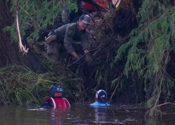 Claudia Sheinbaum: Atiende consulado de México en Texas a 30 mexicanos afectados por inundaciones