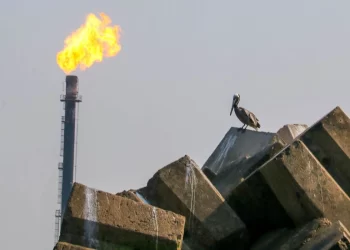 Gana utilidades, paga a proveedores y planea inversión: Pemex toma oxígeno financiero