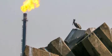 Gana utilidades, paga a proveedores y planea inversión: Pemex toma oxígeno financiero