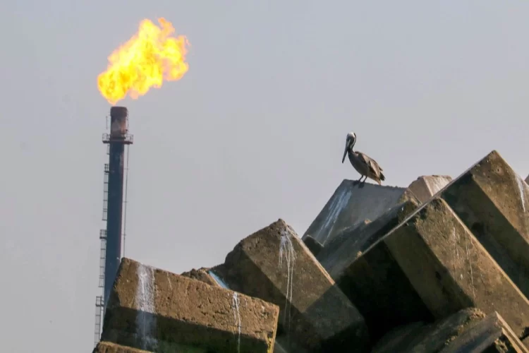 Gana utilidades, paga a proveedores y planea inversión: Pemex toma oxígeno financiero