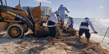 Contratan en Playa del Carmen a más personal para retirar sargazo