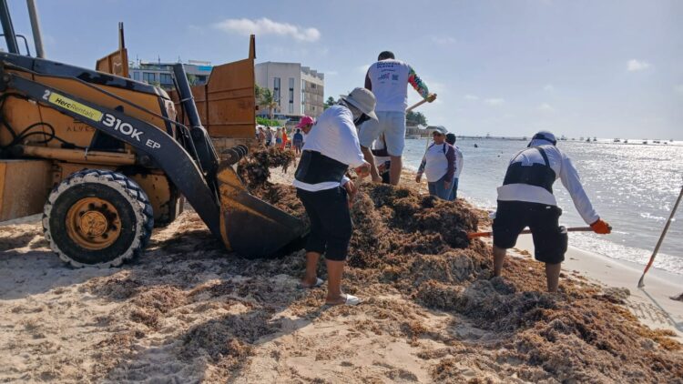 Contratan en Playa del Carmen a más personal para retirar sargazo