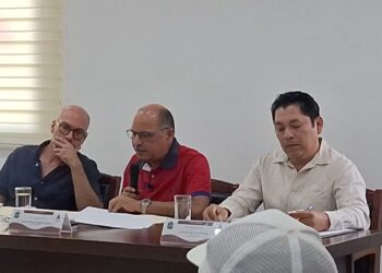 Regidor critica construcción de edificios fuera de ley en Tulum