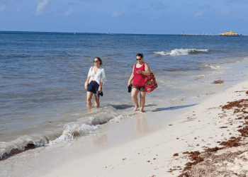 Pese a sargazo, aguas de Playa del Carmen estan saludables