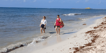 Pese a sargazo, aguas de Playa del Carmen estan saludables
