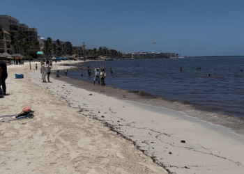 Contraalmirante niega ‘foco rojo’ por arribo de sargazo