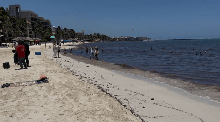 Contraalmirante niega ‘foco rojo’ por arribo de sargazo