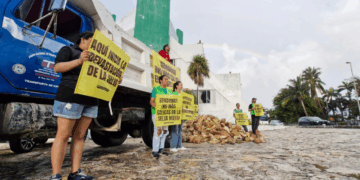 Greenpeace arroja rocas frente a la Semarnat de Cancún para protestar por sascaberas