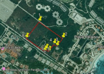 Tala de manglar cerca de cumplir dos meses de impunidad en Playa Paraíso