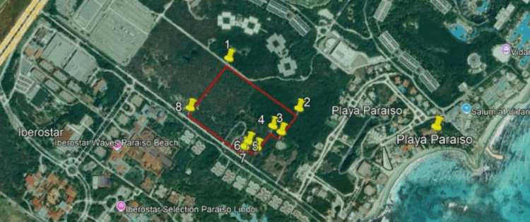 Tala de manglar cerca de cumplir dos meses de impunidad en Playa Paraíso