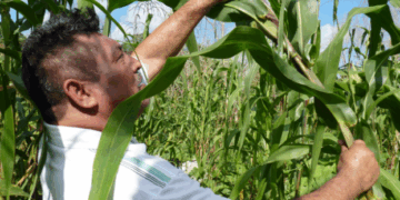 Líder de Unorca lamenta desaparición de gestores en el campo