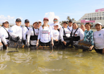Responde Gobierno de Isla Mujeres con rapidez y con la solidaria participación de la comunidad isleña ante recale atípico de sargazo
