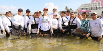 Responde Gobierno de Isla Mujeres con rapidez y con la solidaria participación de la comunidad isleña ante recale atípico de sargazo
