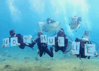 Empresa suspende construcción de Cuarto Muelle en Cozumel