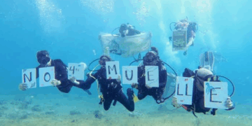 Empresa suspende construcción de Cuarto Muelle en Cozumel