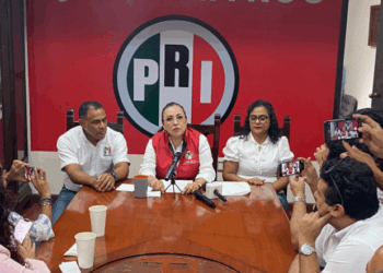 Respalda Cora Amalia Castilla propuesta del PRI para establecer un día de home office semanal como derecho laboral