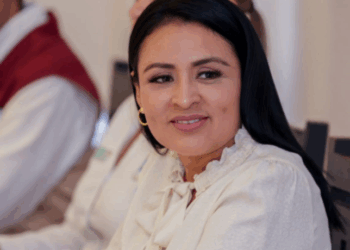 Campaña de esterilización de perros y gatos continúa en Puerto Morelos