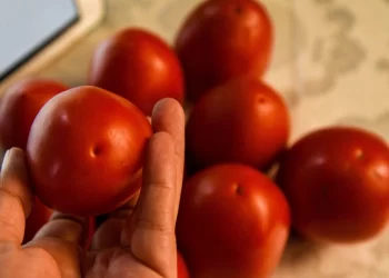 EE.UU. anuncia arancel de 17.09% al jitomate mexicano