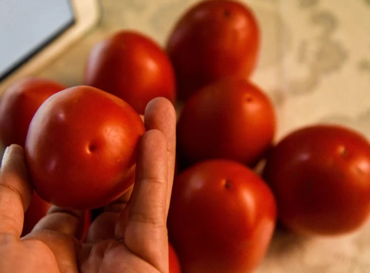 EE.UU. anuncia arancel de 17.09% al jitomate mexicano