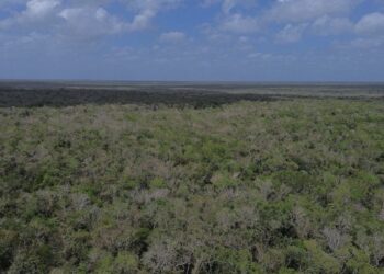 Para extraer material pétreo en Tulum, exigen a Semarnat que muestre permiso de Cemex