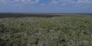 Para extraer material pétreo en Tulum, exigen a Semarnat que muestre permiso de Cemex
