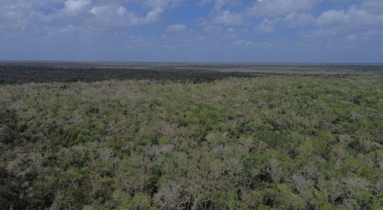 Para extraer material pétreo en Tulum, exigen a Semarnat que muestre permiso de Cemex