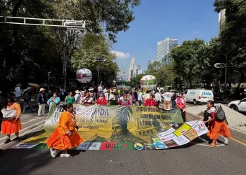 Urge ONU a aprobar reforma sobre el derecho a la consulta de comunidades indígenas