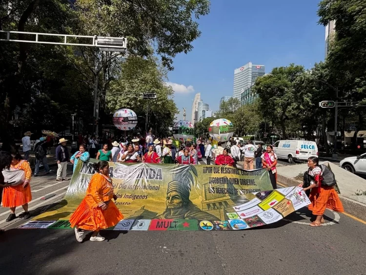 Urge ONU a aprobar reforma sobre el derecho a la consulta de comunidades indígenas