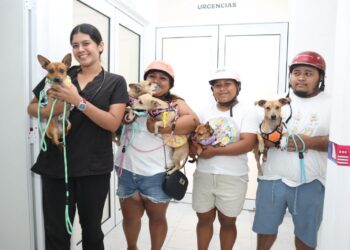 Centro de Bienestar Animal de Isla Mujeres ofrece servicios accesibles para el cuidado y atención de las mascotas de compañía
