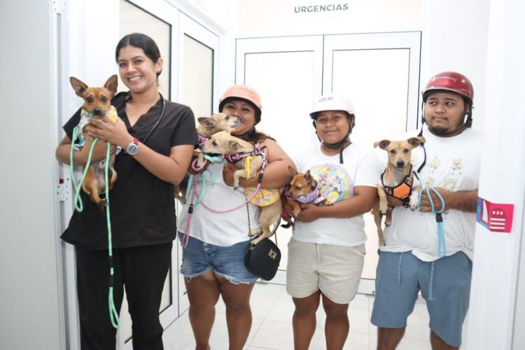 Centro de Bienestar Animal de Isla Mujeres ofrece servicios accesibles para el cuidado y atención de las mascotas de compañía