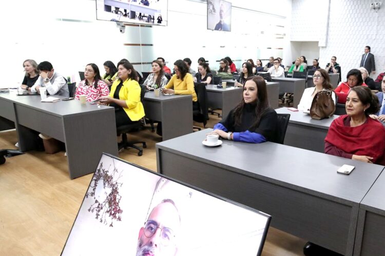 TEQROO participa en curso sobre acciones afirmativas para grupos vulnerables