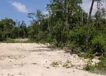 Proyecto de cabañas de Diego Dreyfus, sin autorización municipal