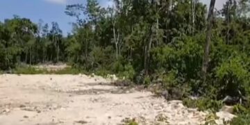Proyecto de cabañas de Diego Dreyfus, sin autorización municipal