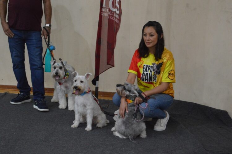 Playa del Carmen late con “Ladridos de Amor” en la 2ª Expocan 2025