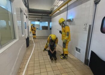 Gobierno de Playa del Carmen y sector turístico trabajan unidos por la seguridad