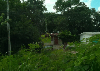 Denuncian a supervisor escolar en Ignacio Zaragoza por acoso sexual