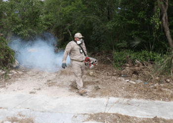 Ratifica Blanca Merari su compromiso con las acciones que fortalezcan la salud pública en Puerto Morelos
