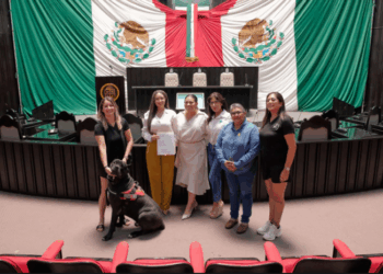 Quintana Roo avanza en inclusión: garantizan acceso con perros de asistencia y animales de apoyo emocional