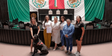 Quintana Roo avanza en inclusión: garantizan acceso con perros de asistencia y animales de apoyo emocional
