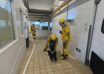 Gobierno de Playa del Carmen y sector turístico trabajan unidos por la seguridad