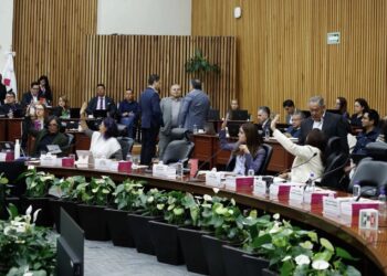 Descarta INE sancionar a Pío López Obrador y a David León