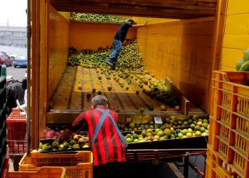 Reducción de la pobreza, hazaña de la 4T y vamos por más: Claudia Sheinbaum