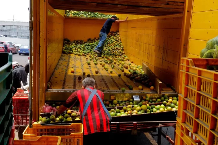 Reducción de la pobreza, hazaña de la 4T y vamos por más: Claudia Sheinbaum